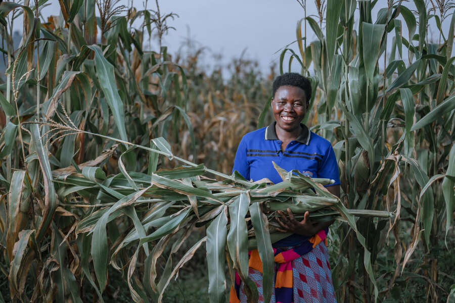 Godelive Niyonagira in her maize farm, where production increased after WFP support and linkage to financial institutions. Photo: Cordaid/Irihose Mugiraneza