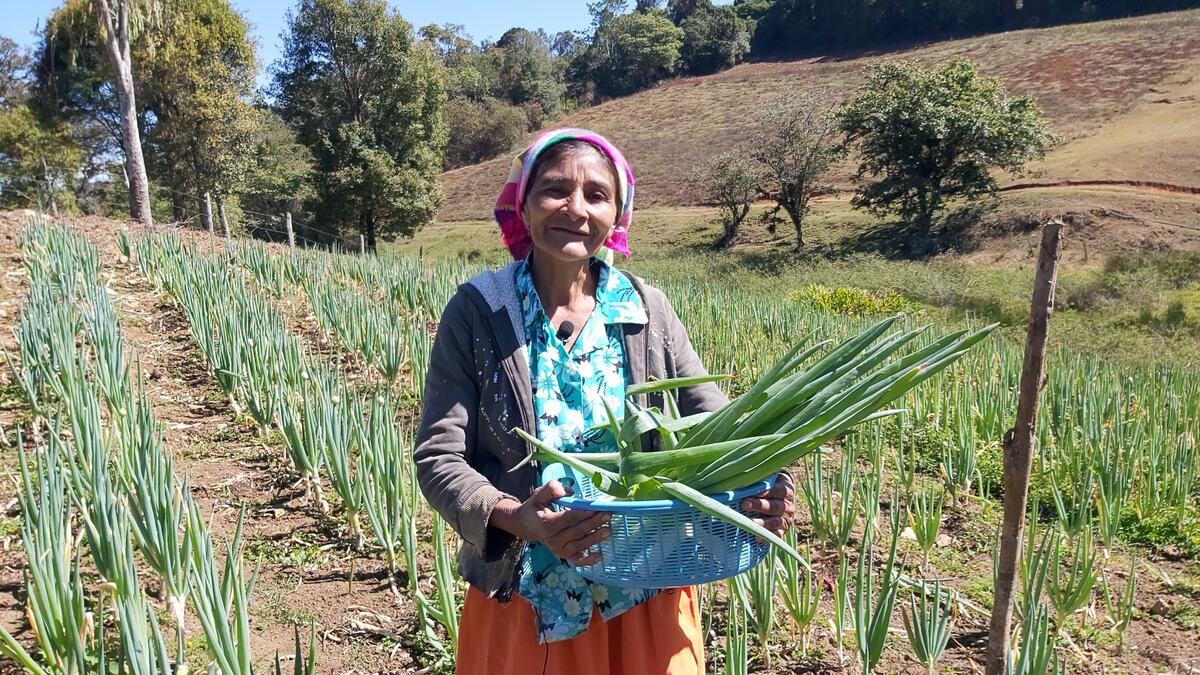 Honduras | World Food Programme