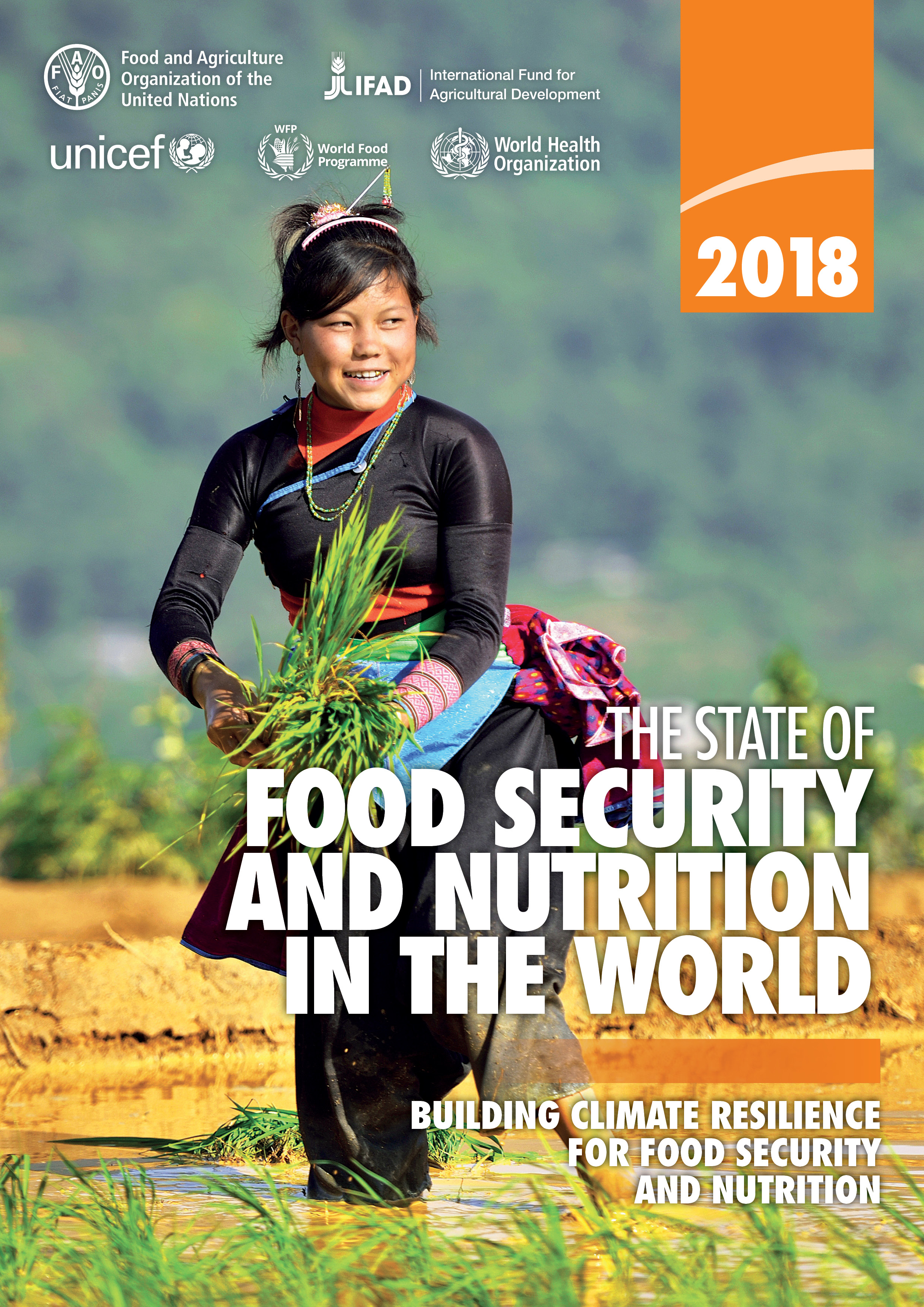 UN to launch new progress report on achieving Zero Hunger World Food