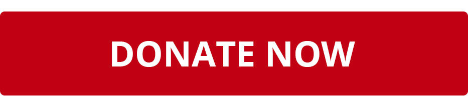 Donation banner with red button