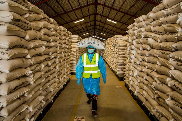 World Food Day: How WFP works towards food security — one sack at a time