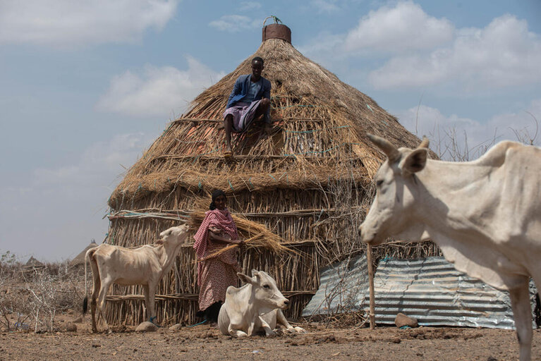 Millions face hunger as drought grips Ethiopia, Kenya and Somalia, warns World Food Programme