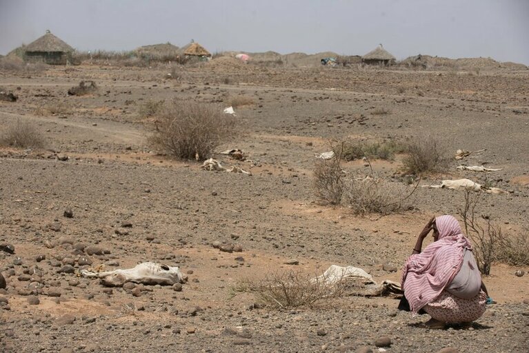 Ethiopia: WFP responds as the worst drought in a lifetime intensifies hunger