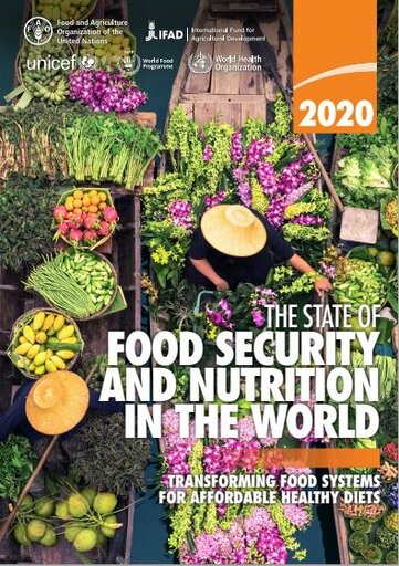 As more go hungry and malnutrition persists, achieving Zero Hunger by 2030 in doubt, UN report warns 