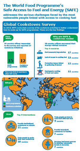 SAFE Infographic