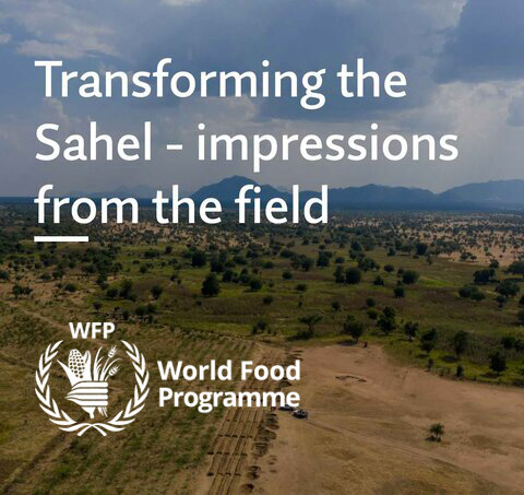 Transforming the Sahel – Impressions from the field - 2021