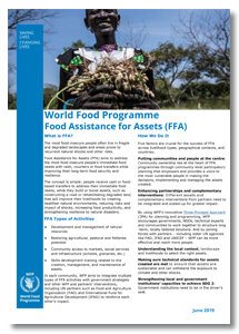 2019 - World Food Programme -  Food Assistance for Assets (FFA)