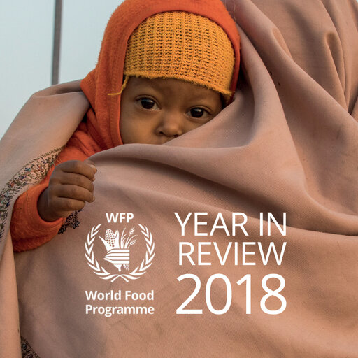 WFP Year in Review 2018