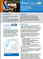 Situation Report - Lebanon