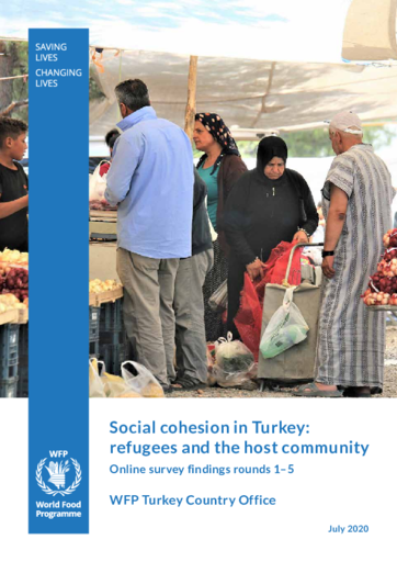 Social Cohesion in Türkiye - Refugees and host community - Online Survey Findings