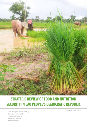 Food and Nutrition Security in Lao PDR