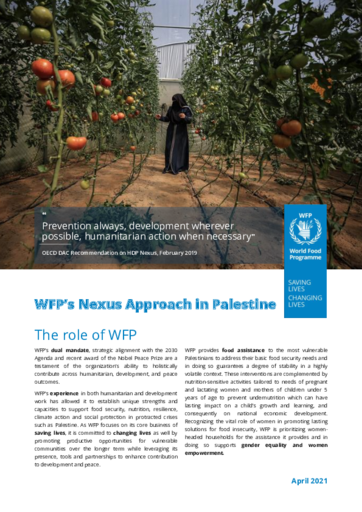 WFP’s Nexus Approach in Palestine - 2021