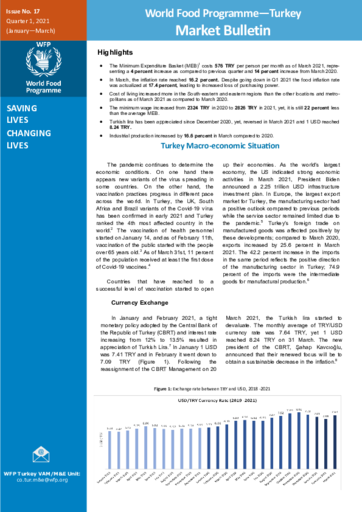 WFP Türkiye Q1 2021 - Market Bulletin