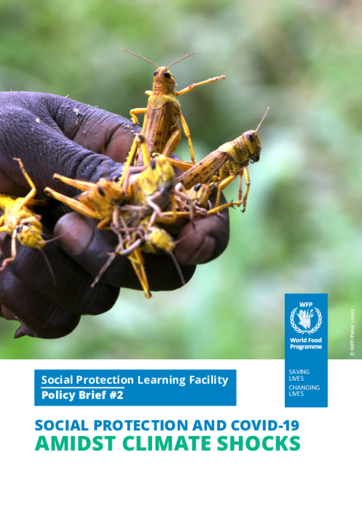 Social Protection and COVID-19 Amidst Climate Shocks - 2020