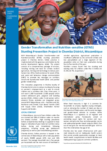 Gender Transformative and Nutrition-sensitive (GTNS) Stunting Prevention Project in Mozambique