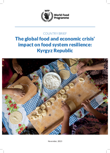2024 - The global food and economic crisis’ impact on food system resilience: Kyrgyz Republic