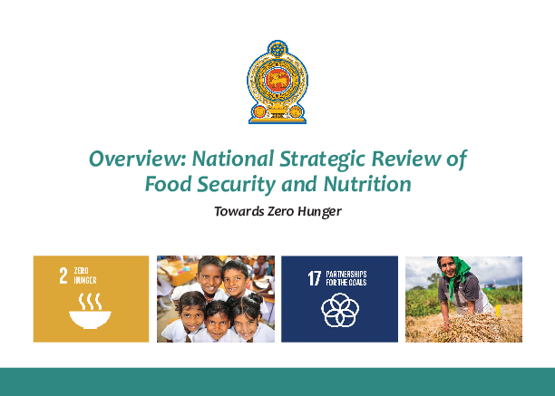 National Strategic Review of Food Security and Nutrition
