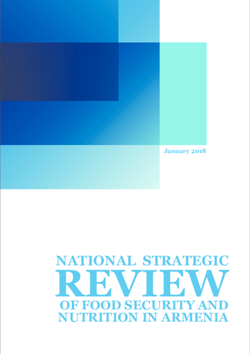 Armenia Strategic Review
