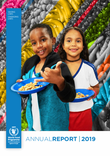 WFP CoE Brazil - Annual Report 2019