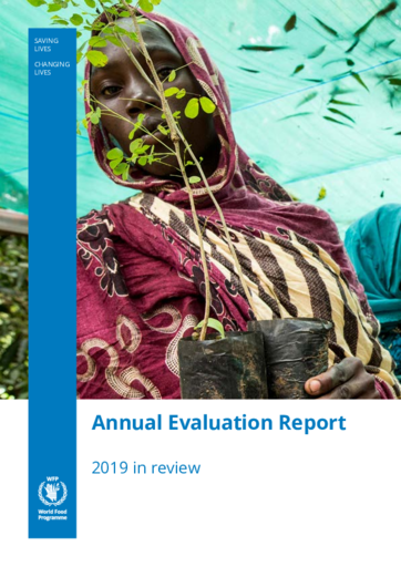Annual Evaluation Report 2019