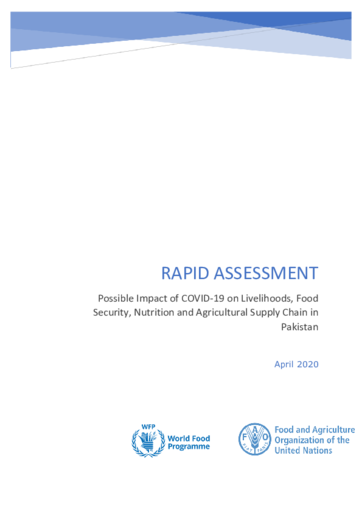 Rapid Assessment - Possible Impact of the Novel Coronavirus Pandemic (COVID-19) 