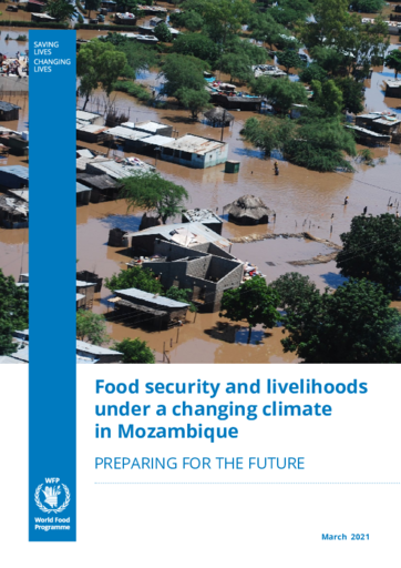 Food security and livelihoods under a changing climate in Mozambique - 2021
