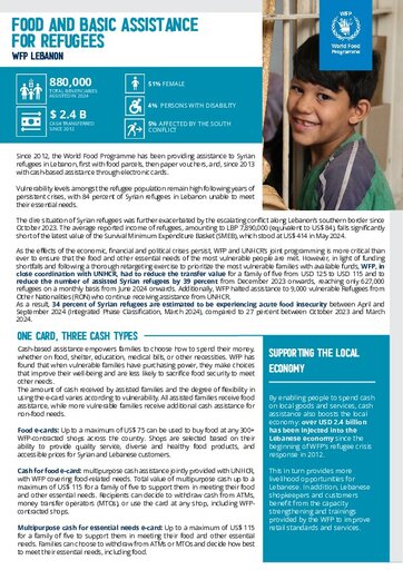 WFP Lebanon Programme Overview - August 2024