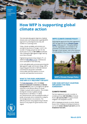 How WFP is supporting global climate action