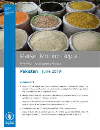 2019 - Pakistan Market Monitor Report
