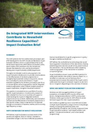 Do Integrated WFP Interventions Contribute to Household Resilience Capacities? Impact Evaluation Brief 