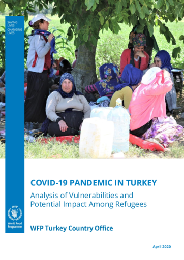 April 2020 – COVID-19 Pandemic in Türkiye: Analysis of Vulnerabilities and Potential Impact Among Refugees
