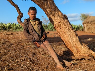 A boy is sitting on a tree