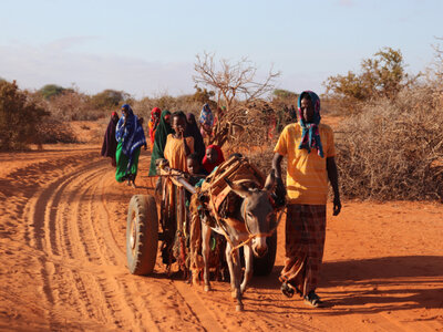 Internally displaced people arrive at Kaharey camp, Dolow, Somalia.