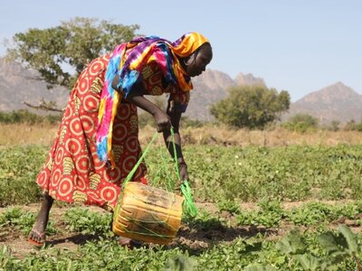 A woman working in the field