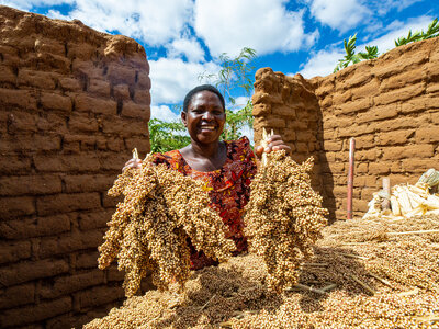 Photo: WFP/Iman Nsamila A woman holding up two large clusters of harvested grains, standing between two partially constructed mud brick walls.