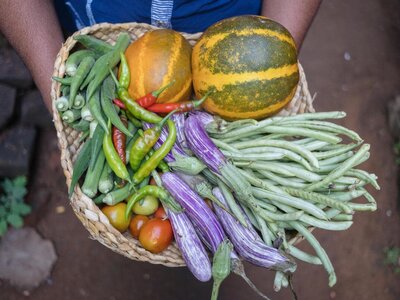 Photo: WFP/Arete/Ruvin Da Silva Sriyani Kusumalatha, with a bowl of freshly harvested vegetables from her garden