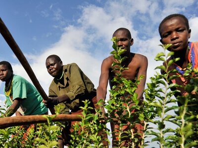 Men and women working on a field