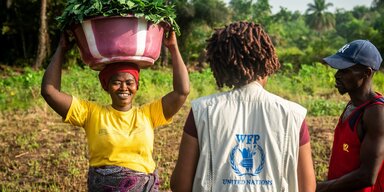 N'yayh Sankoh (left), a smallholder farmer in Tawuya Community (Sierra Leone), carrying freshly harvested potato leaves speaks to WFP staff. 