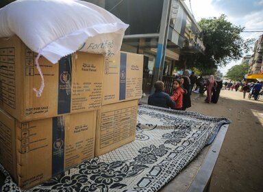 Close-up of WFP food boxes with children on the right-hand side.