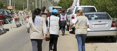 FAO, WFP and UNICEF staff