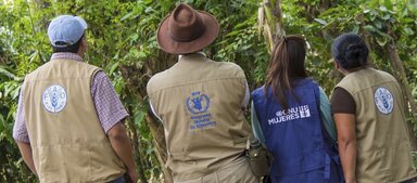 WFP, FAO, and IFAD staff