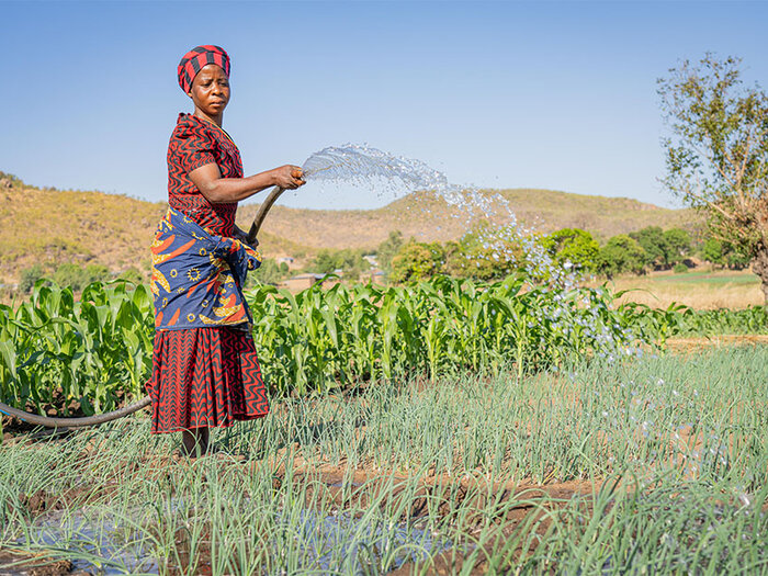 Hadija waters her crops amidst drought, nurturing a brighter future with sustainable energy.