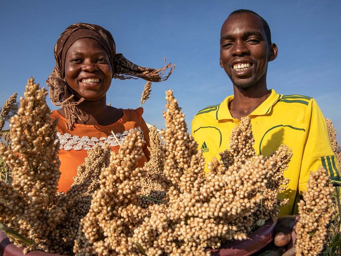 Two people are standing behind of wheat ear