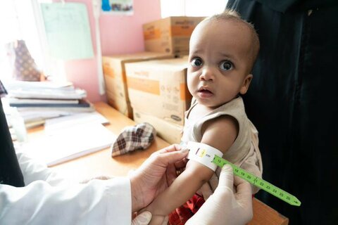 Yemen: World’s worst hunger hotspot risks further decline, say UN agencies