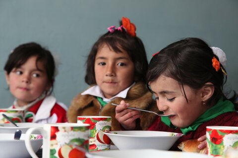 Filling bellies, feeding minds: Improving nutrition through school meals