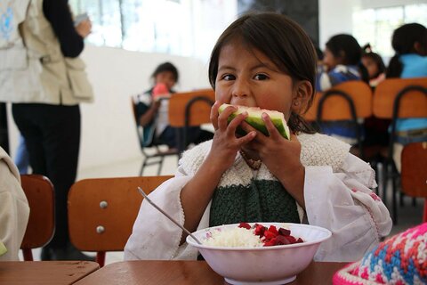 5 ways that malnutrition is costing Latin America billions