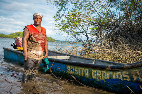 妇女节:在厄瓜多尔，红树林牡蛎意味着家庭的粮食安全