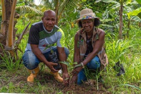 Afro-Ecuadorian community leader Inés Morales, right, puts a mangrove seedling in the ground as part of a WFP-backed reforestation project along the Colombia-Ecuador border. Photo:WFP/Daniel Torres
