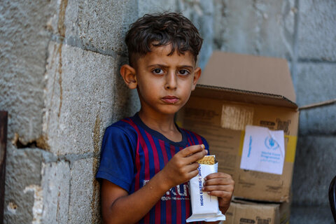 Gaza: urgent action needed as hunger soars to critical levels