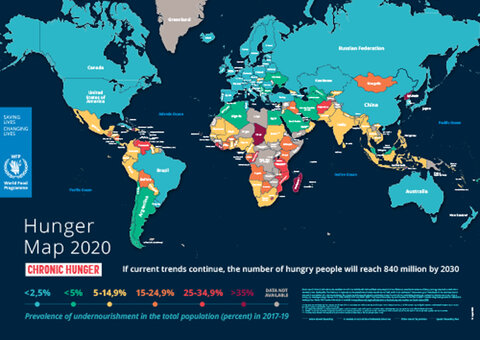 Goal 2 Zero Hunger United Nations Sustainable Development Goals   HUNGER MAP 2020 A3 EN CH 